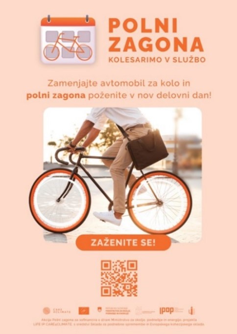 Polni zagona